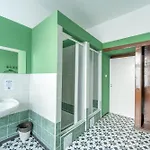 Hostal Spot *